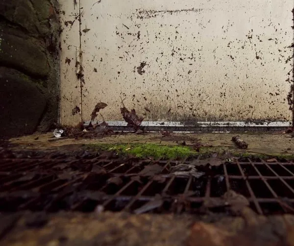 Water-damaged surfaces and debris beside a floor drain