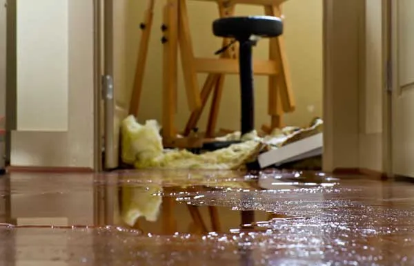 Standing water across an interior floor